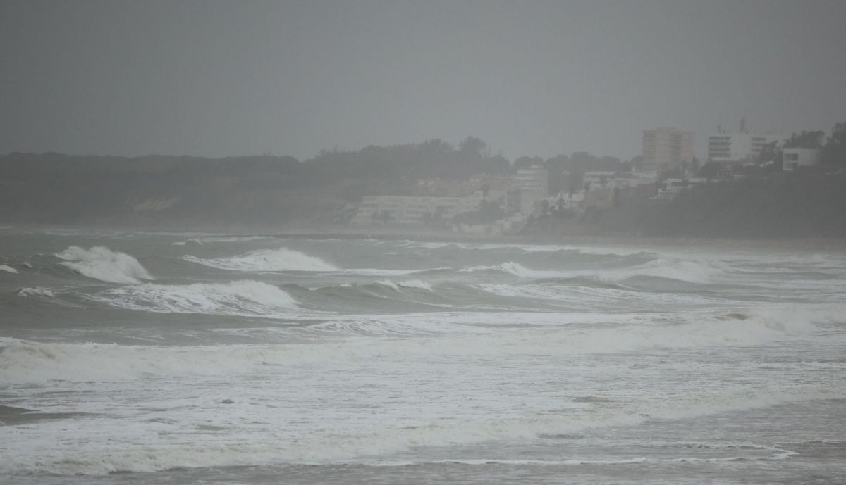 Temporal Claudia  38