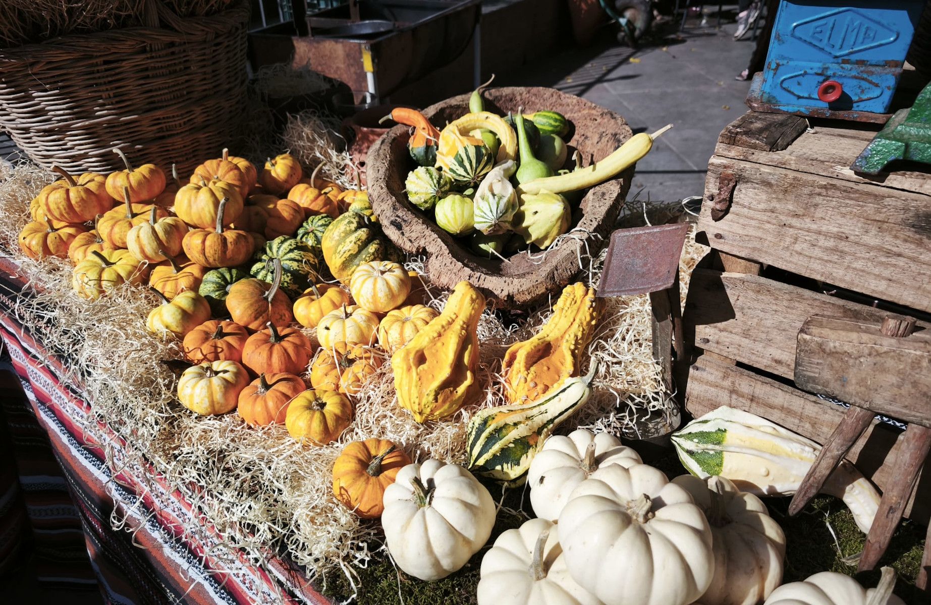 Calabazas en un puesto.