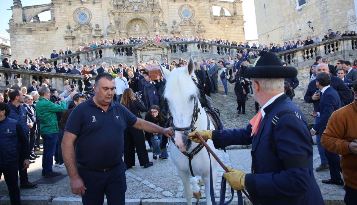 Yute, caballo de Álvaro Domecq.