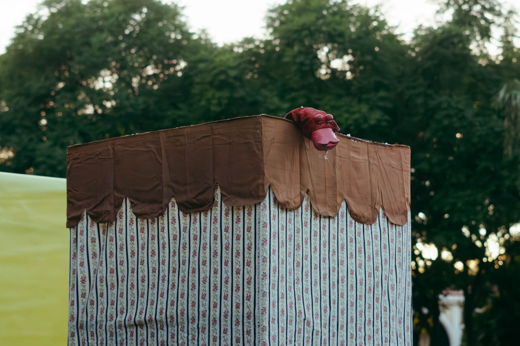 TITEREJE 19 NOVIEMBRE 3