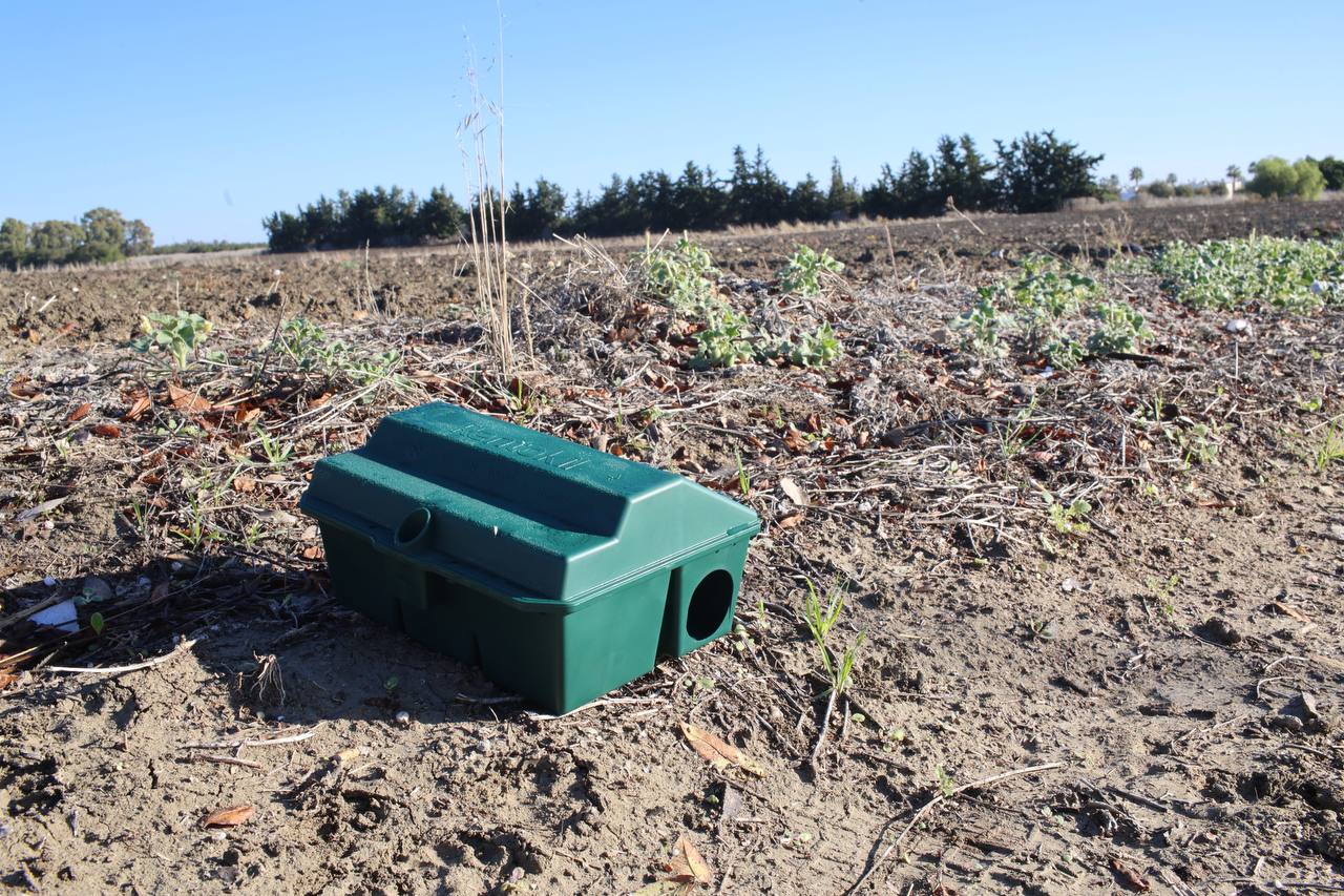 Una de las actuaciones del Ayuntamiento en la desratización de varias zonas de Jerez.