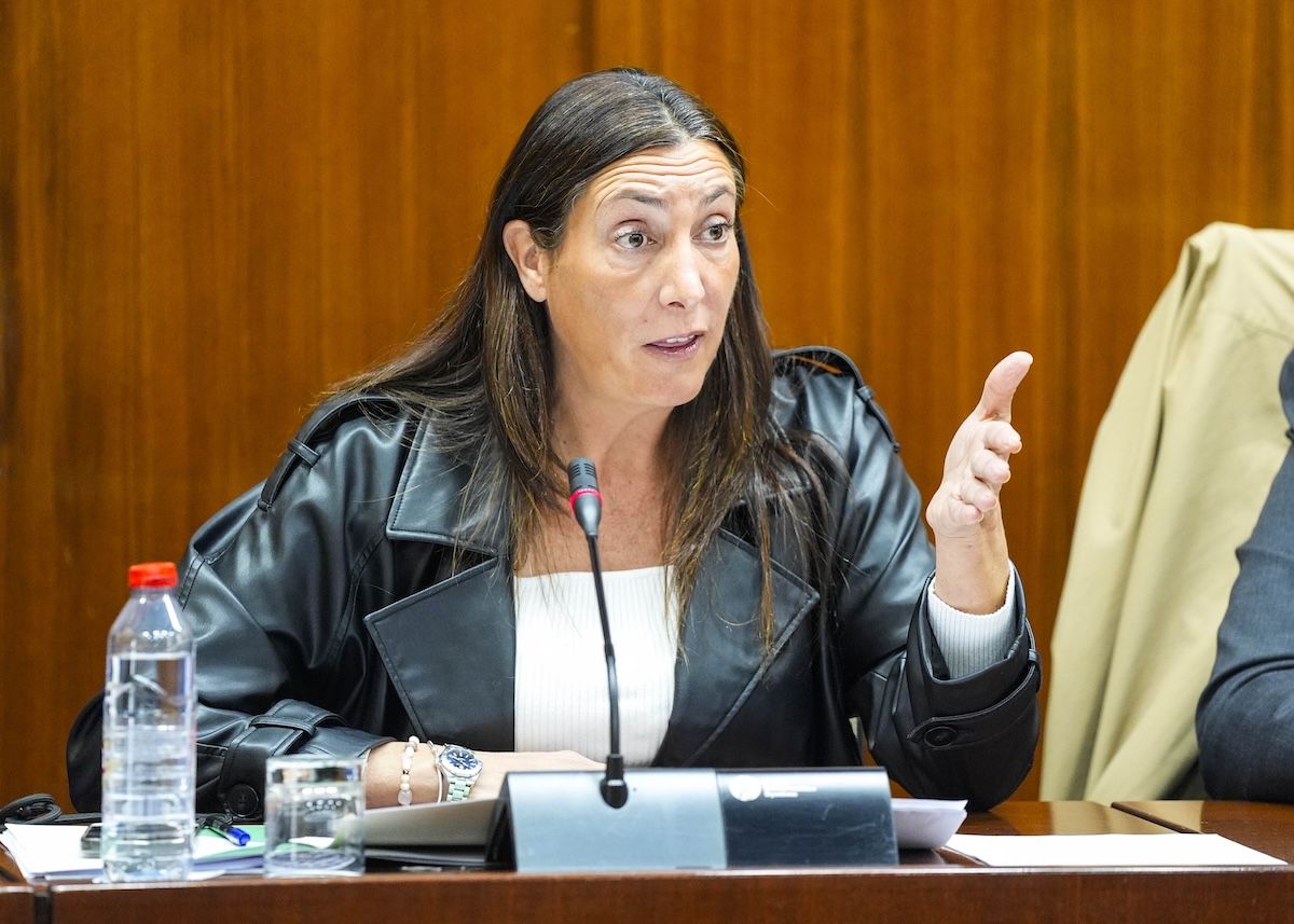 Loles López, consejera de Inclusión Social, Juventud, Familias e Igualdad, comparece en comisión 