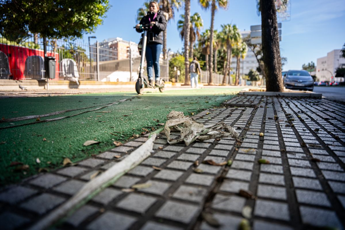 La suciedad en el barrio de los Astilleros.