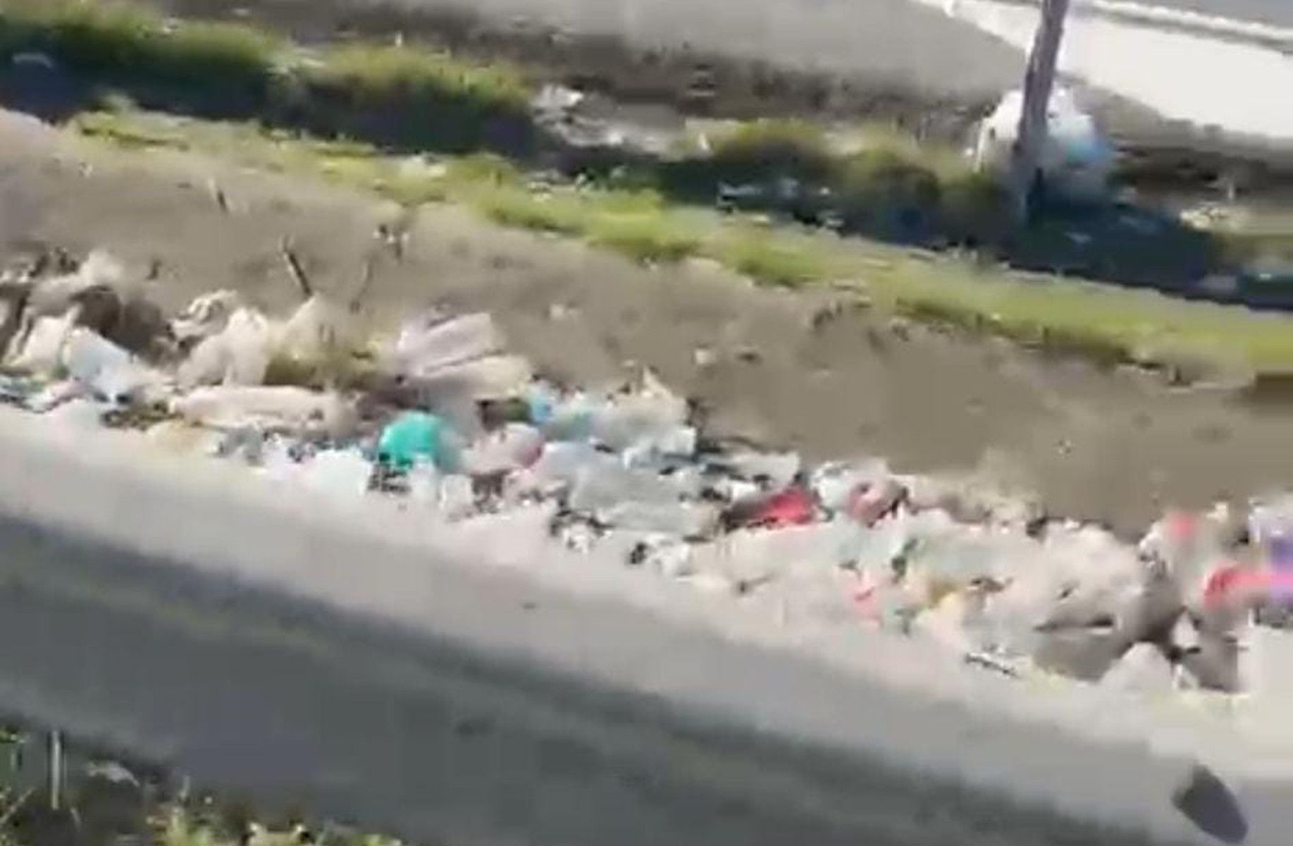 Estado de la mediana de la A 8058, entre los puntos kilométricos 3 y 4, a su paso por Gelves.