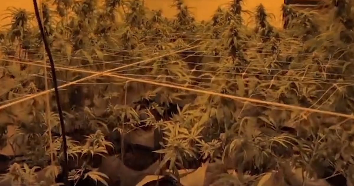 WhatsApp Image 2025 11 26 at 09.49.24