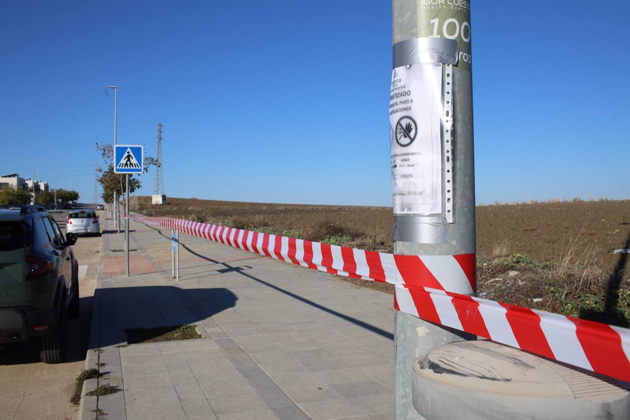 Una de las zonas donde está actuando el Ayuntamiento contra las plagas.