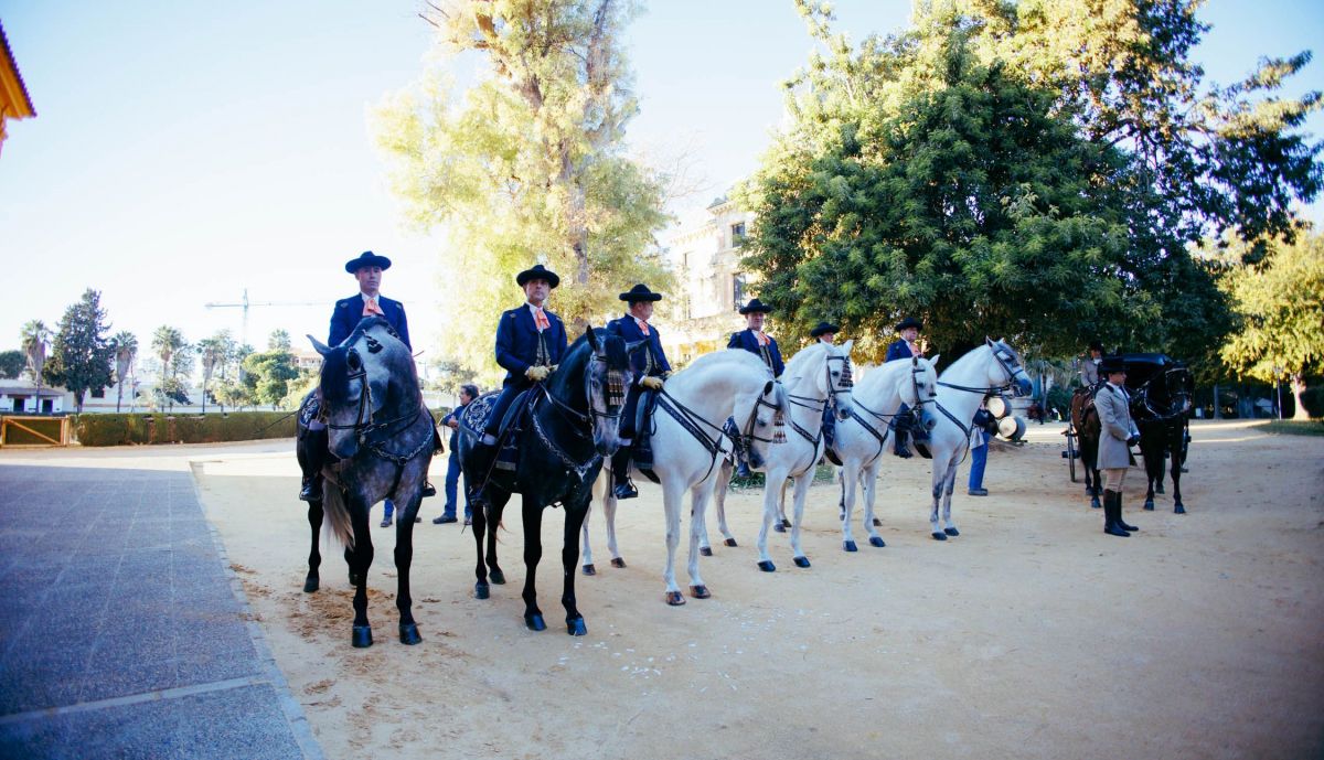 ESCULTURA ALVARO DOMECQ REAL ESCUELA ANDALUZA DEL ARTE ECUESTRE 05