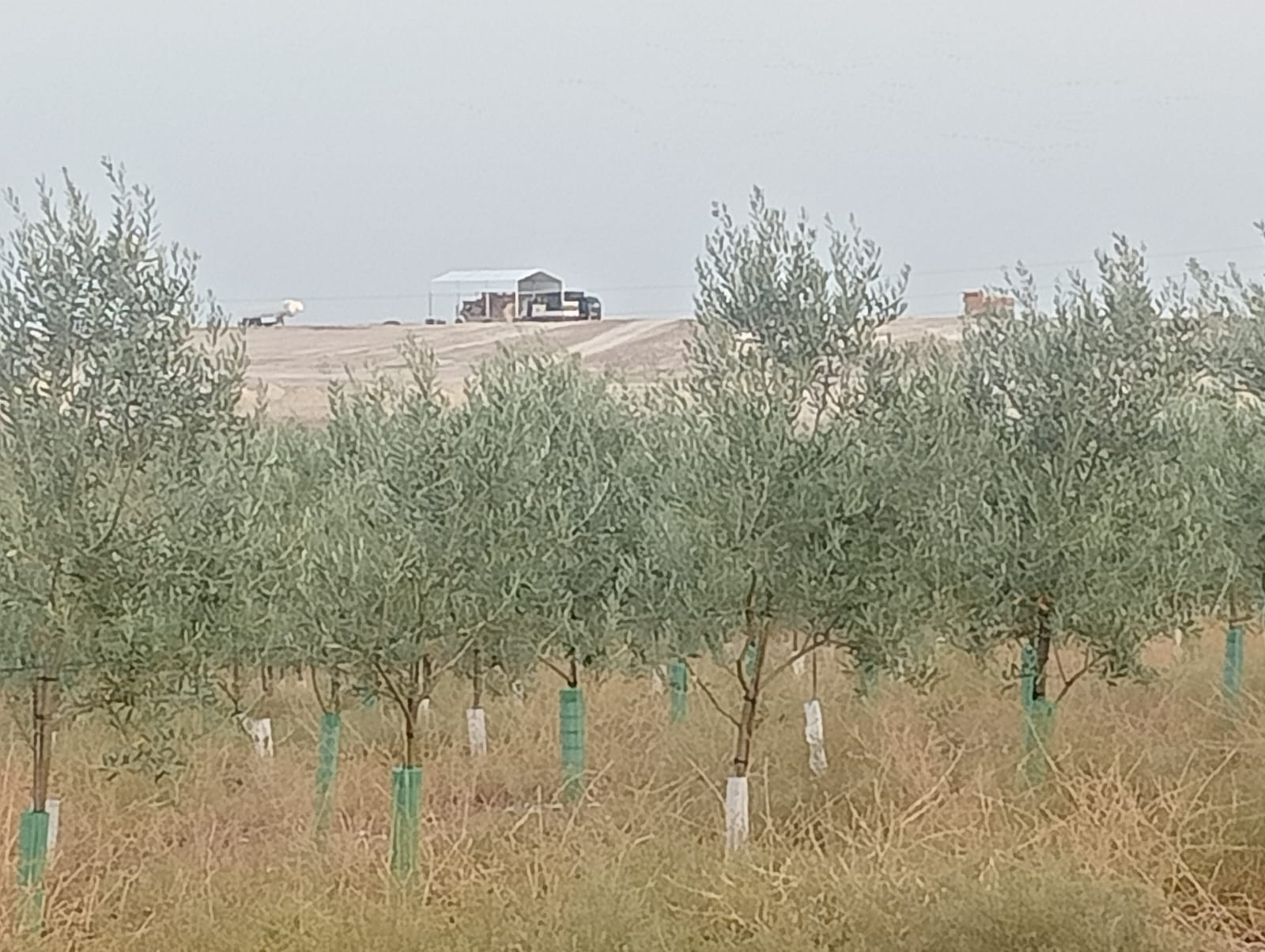 Una imagen de la zona de Ecologistas en Acción. Una imagen de la zona de Ecologistas en Acción.