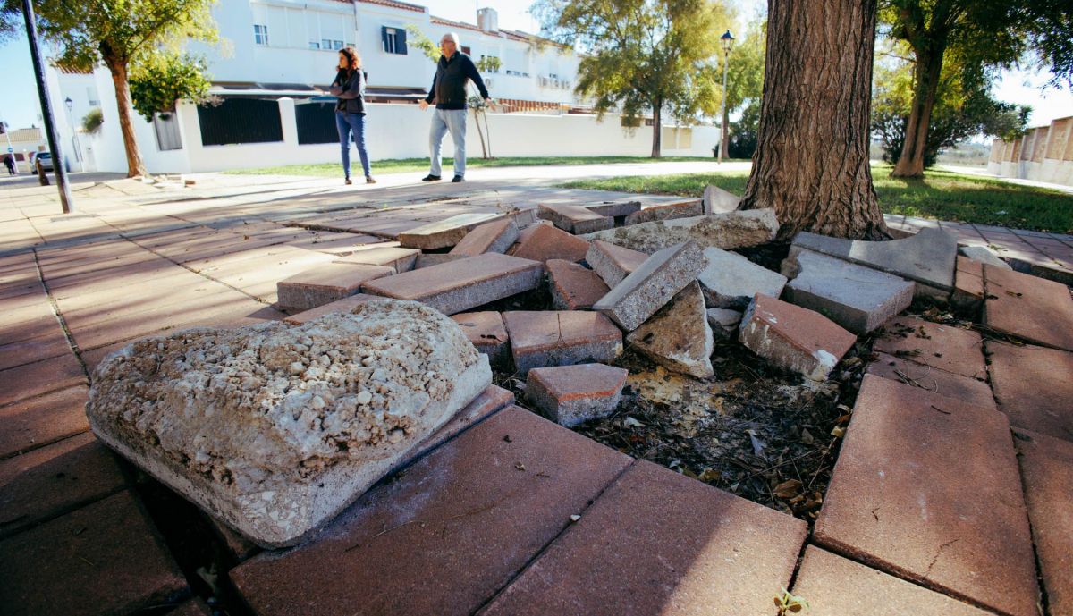 CAÑADA DEL VERDUGO 14