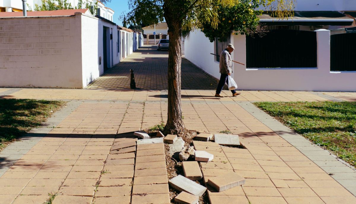 CAÑADA DEL VERDUGO 16