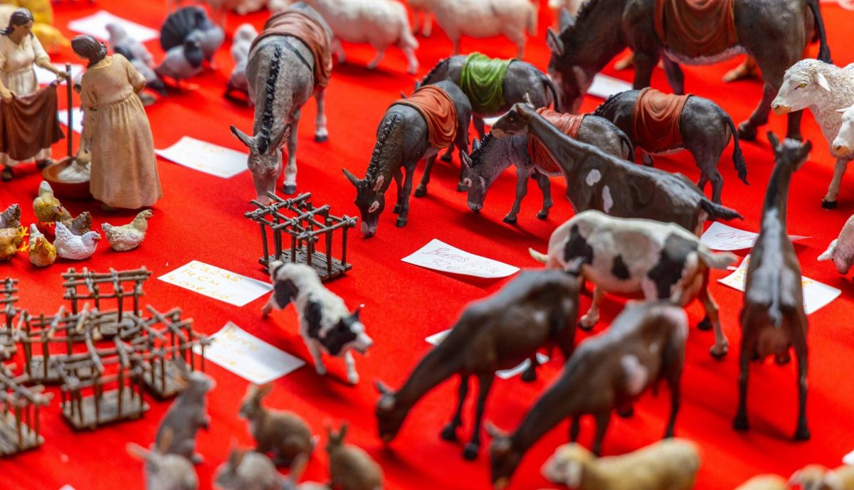 Detalle de las figuras de la muestra.