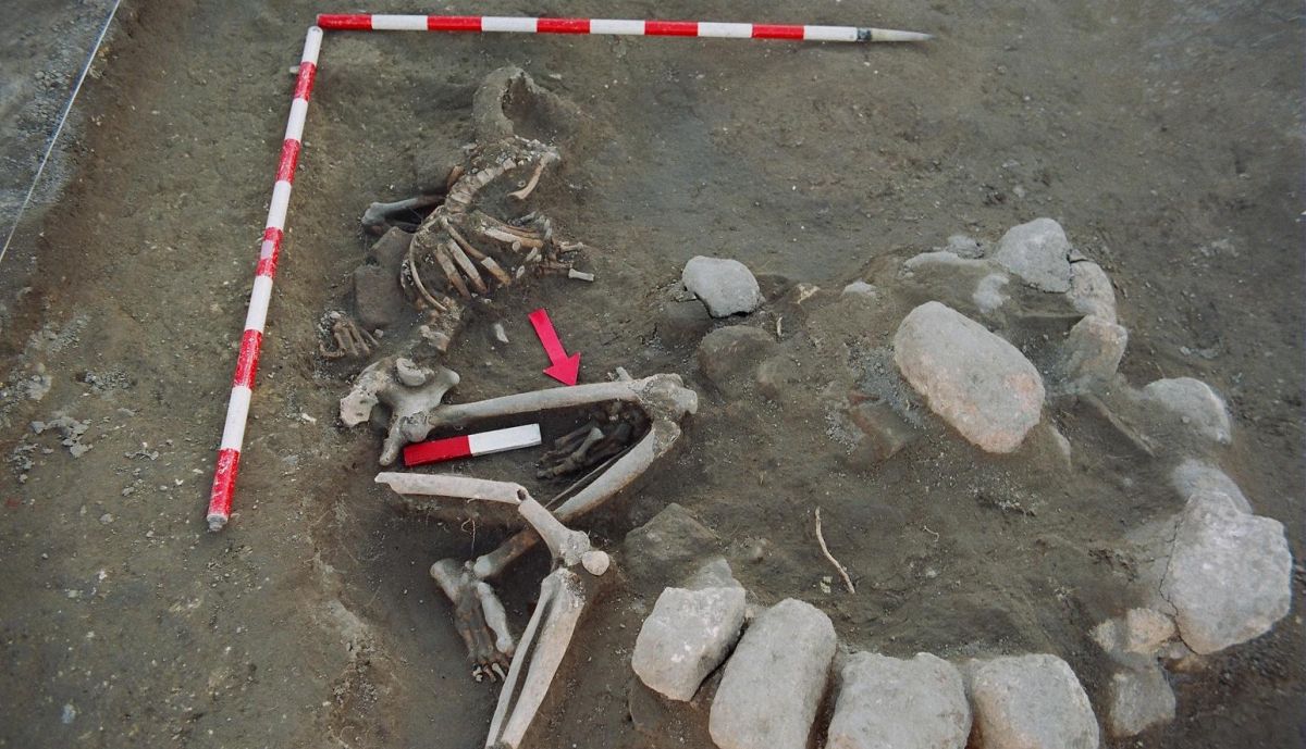 Restos de una persona fallecida de forma violenta. En la imagen señala donde tenía clavado el virote.