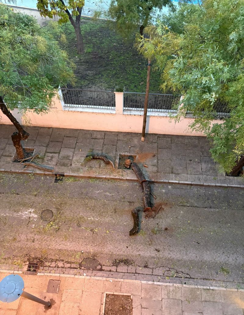 Una imagen compartida por la cuenta Foto denuncia Jerez.