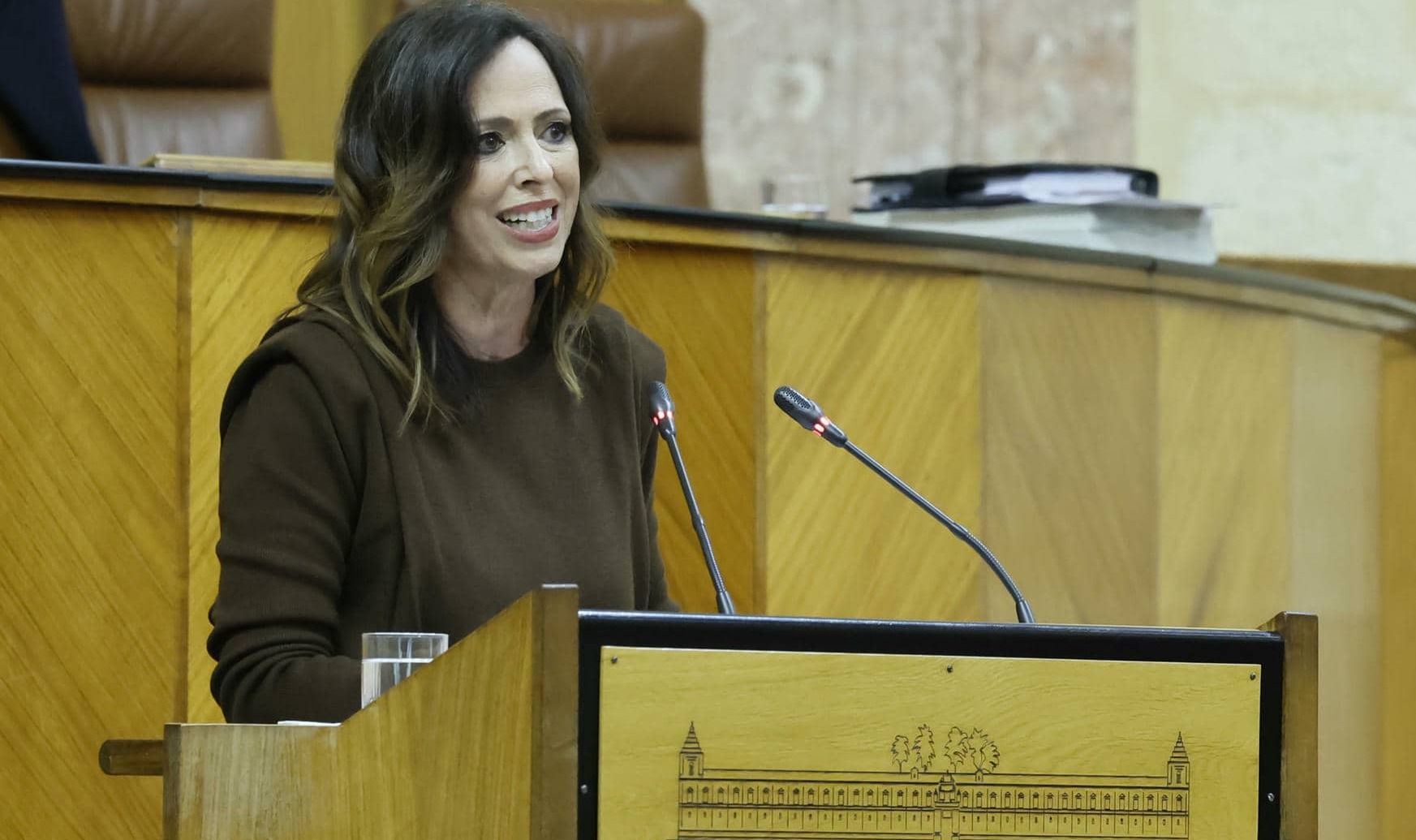 La consejera de Fomento y Vivienda, Rocío Díaz, durante su intervención en el pleno del Parlamento.