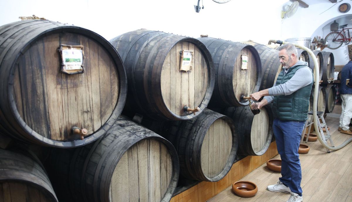 Bodegas Busto Los Palacios 11