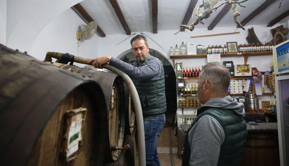 Bodegas Busto Los Palacios 06