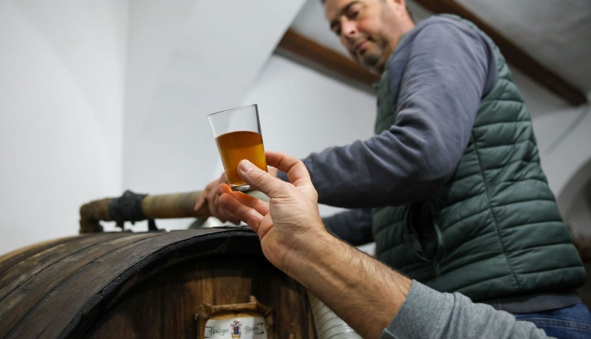 Bodegas Busto Los Palacios 04