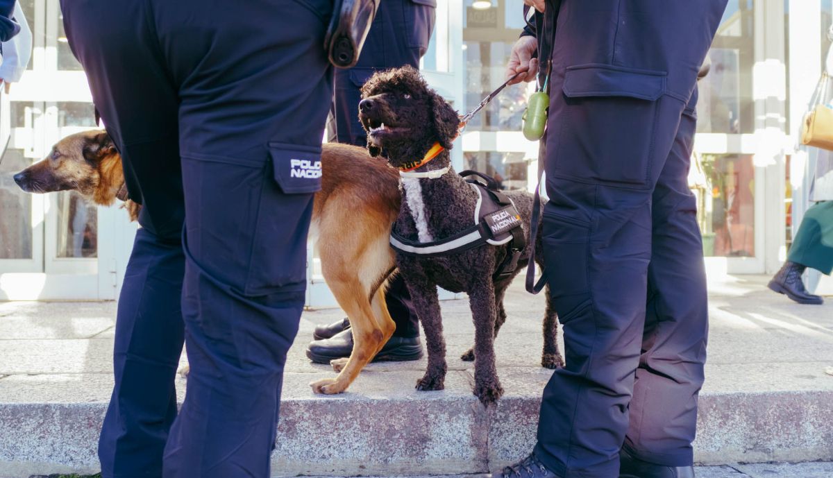 Los agentes caninos se han convertido en la gran novedad de la visita de este año.