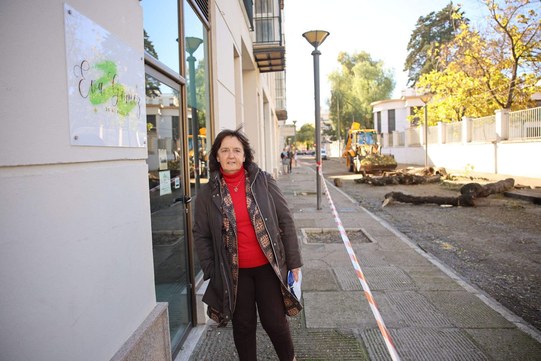 Calle Santo Domingo Arboles 2