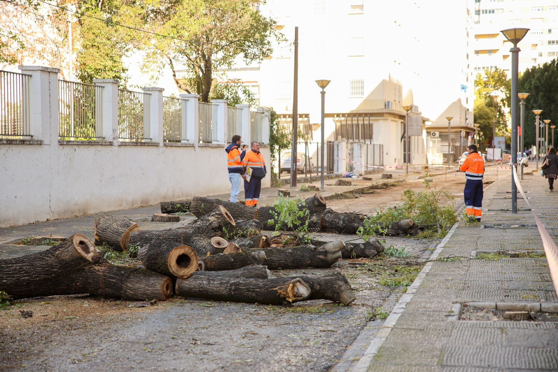 Personal técnico en la calle Santo Domingo, este miércoles.