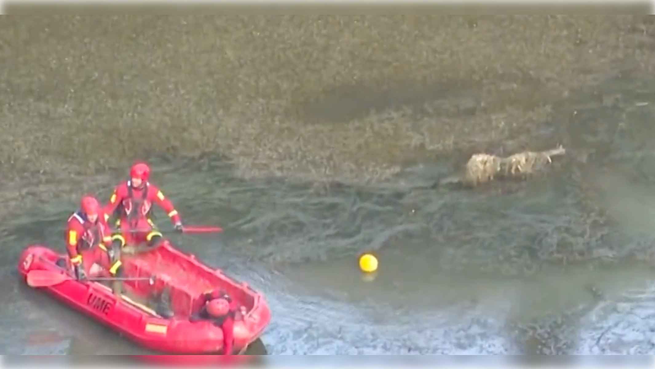 Dispositivo de búsqueda que se ha reactivado esta semana.