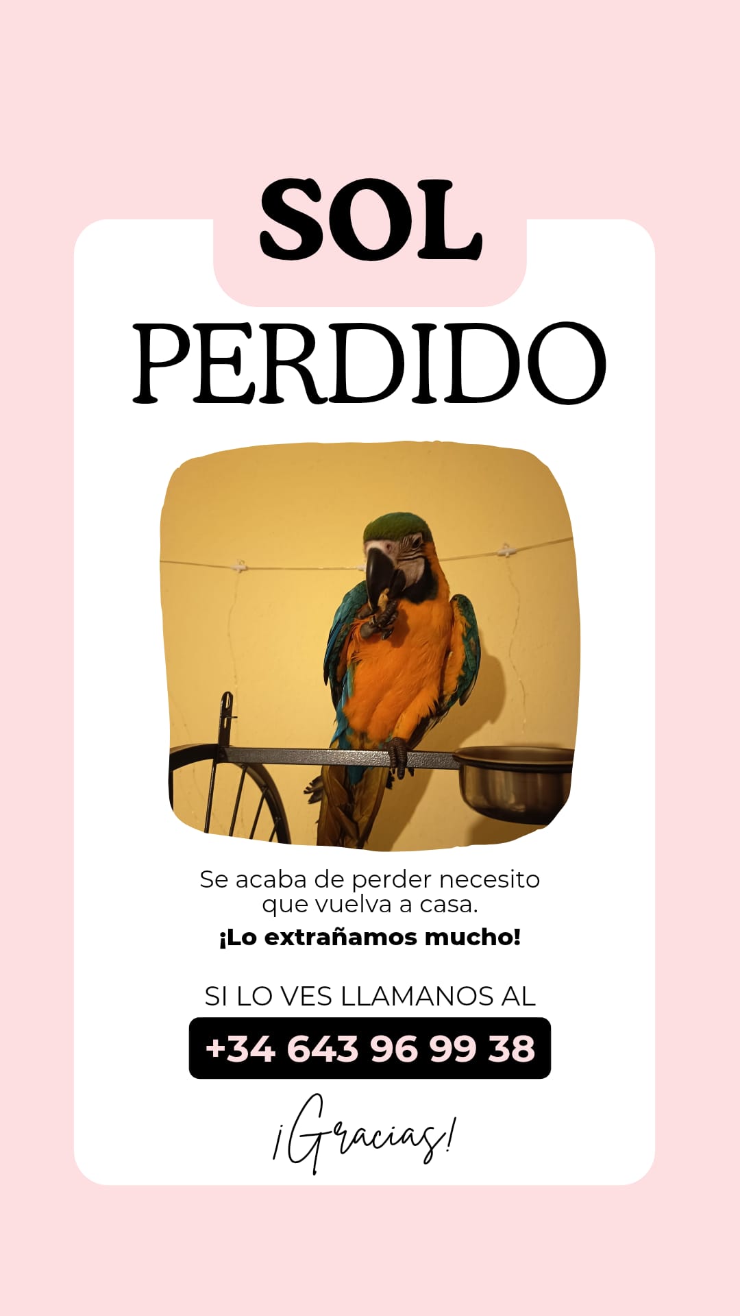 Imagen difundida en redes sociales.