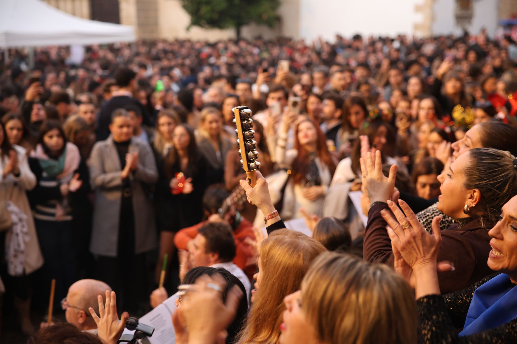 No cabe ni un alfiler en el centro de Jerez con las Zambombas 