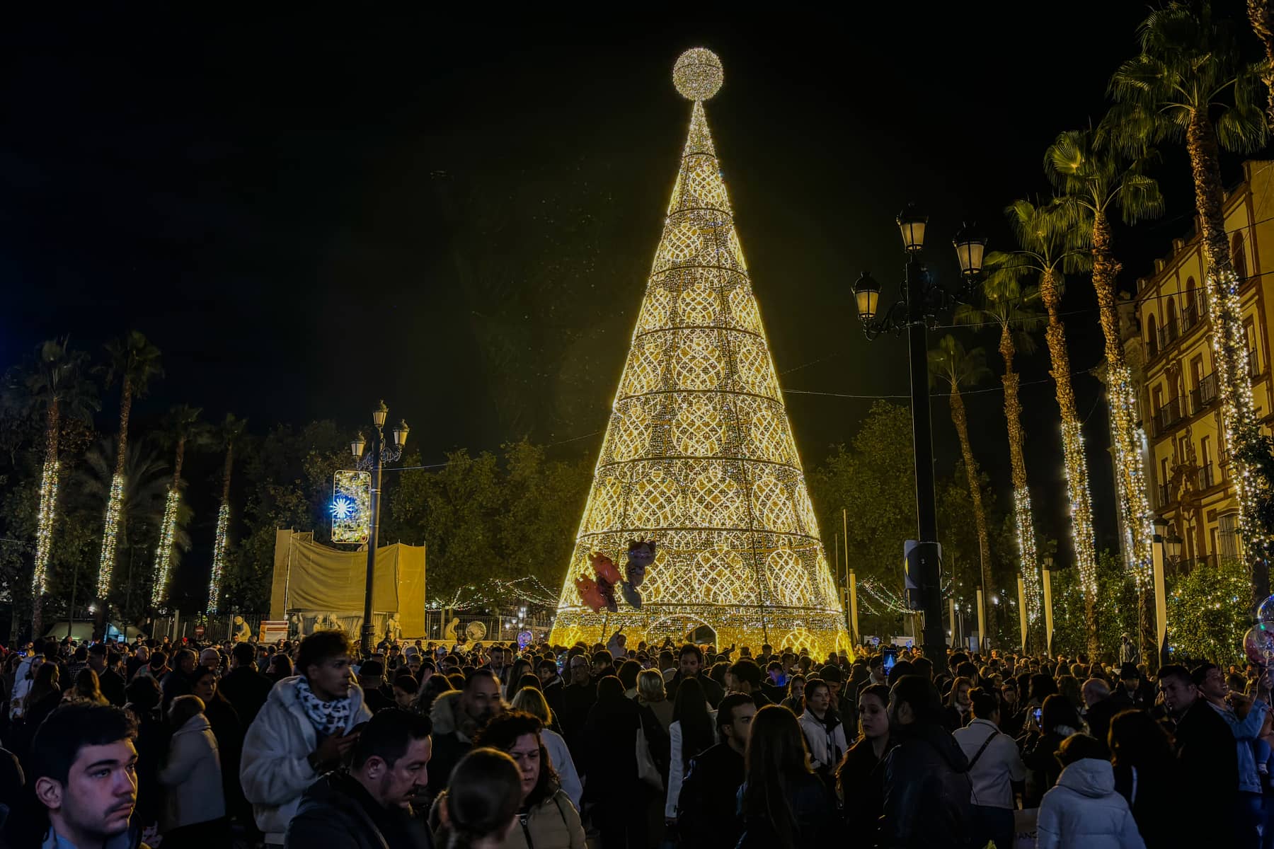 El árbol de Puerta Jerez, en el centro de Sevilla. El árbol de Puerta Jerez, en el centro de Sevilla.