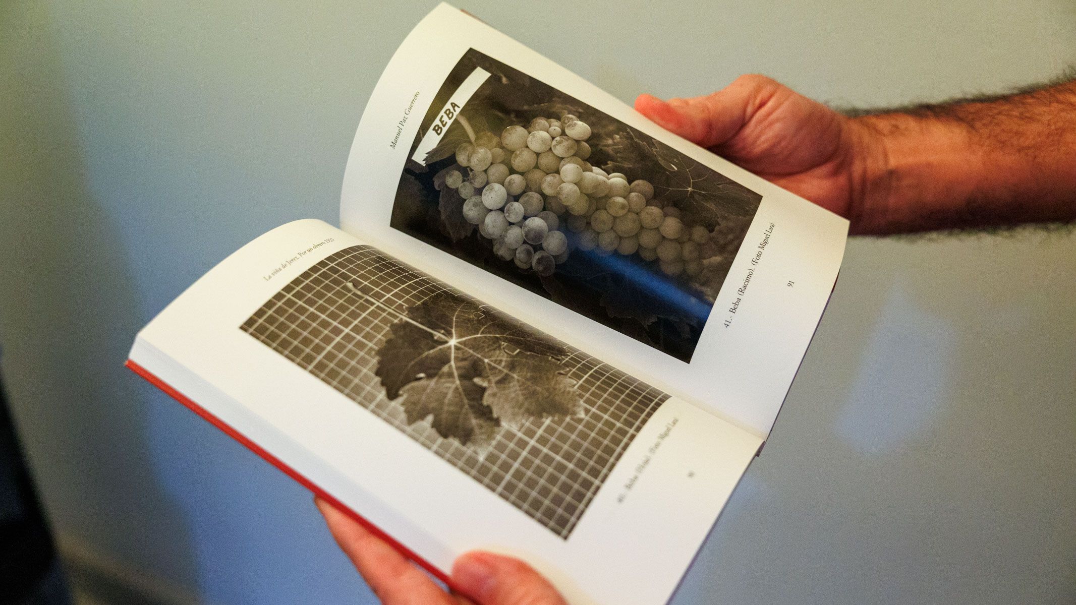 'La viña de Jerez. Por un obrero' cuenta con un estupendo apéndice fotográfico complementario. 'La viña de Jerez. Por un obrero' cuenta con un estupendo apéndice fotográfico complementario.