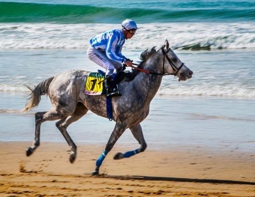 gran premio zahara 00005