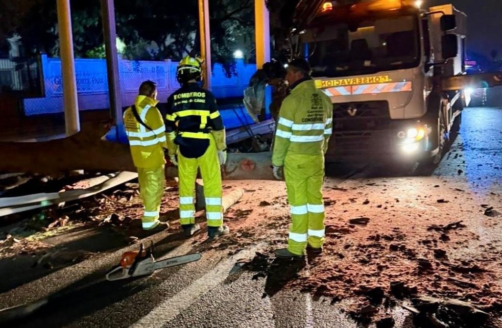 Restos del árbol de grandes dimensiones caído en la autovía cercana a Los Barrios. Restos del árbol de grandes dimensiones caído en la autovía cercana a Los Barrios.