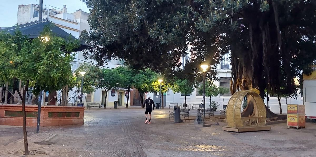 La Alameda del Banco de Jerez, limpia tras una intensa jornada de Zambombas. La Alameda del Banco de Jerez, limpia tras una intensa jornada de Zambombas.