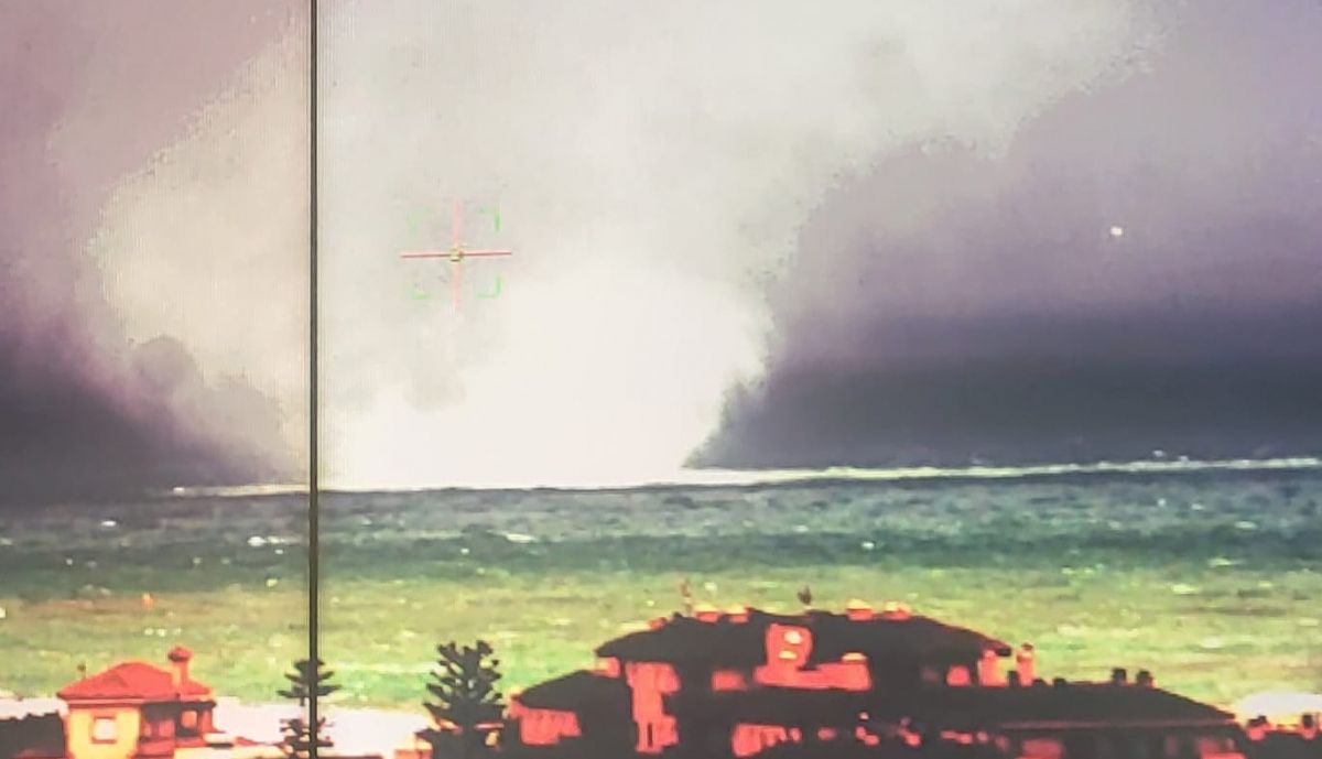 Manga marina detectada en Rota.