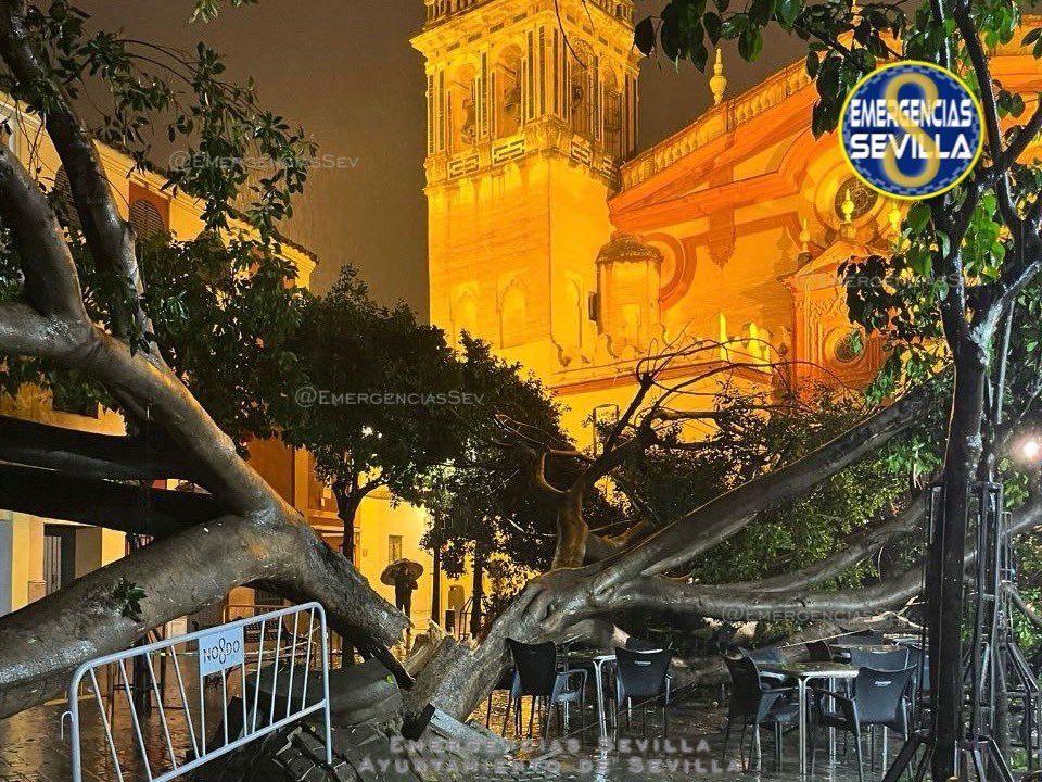Una de las incidencias más aparatosas se vio en Sevilla. Una de las incidencias más aparatosas se vio en Sevilla.