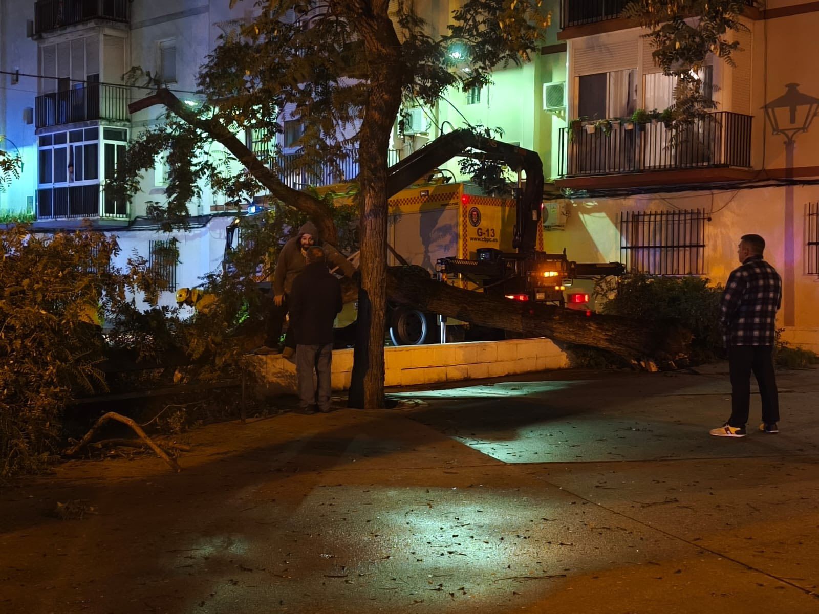 Árbol caído en la calle Bocoy en El Puerto.