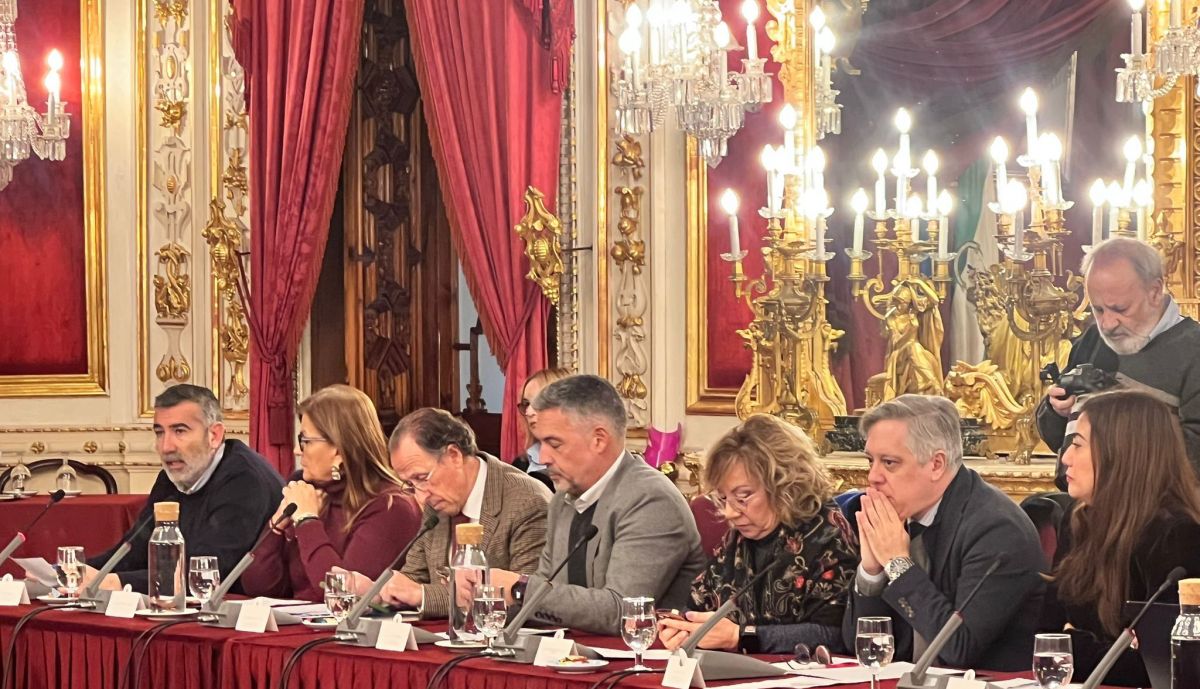 foto grupo pleno dipu