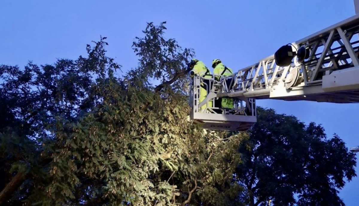 Intervención de los bomberos en El Puerto.