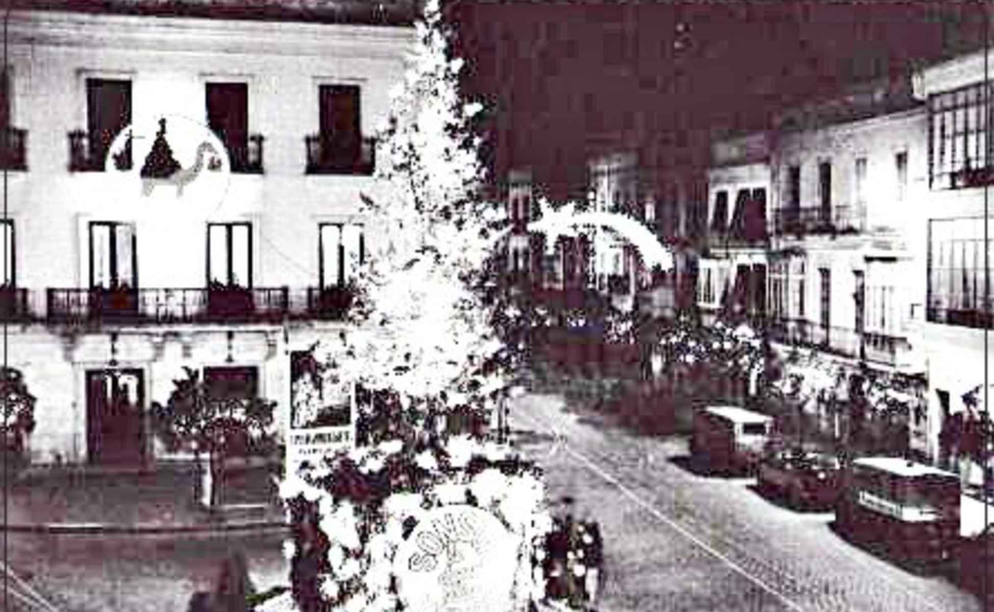 Una imagen del abeto que se colocaba en la Rotonda de los Casinos.