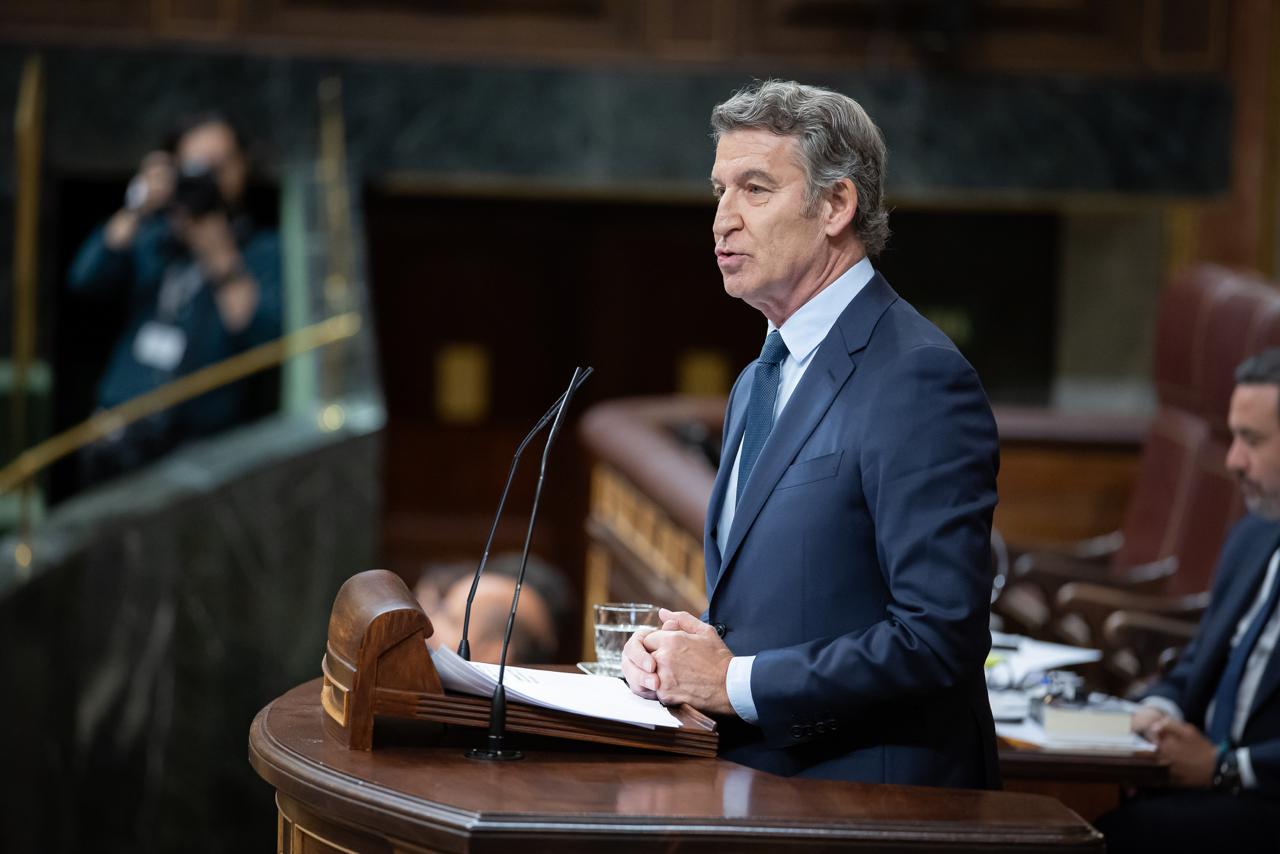 Alberto Núñez Feijóo, en el Congreso.