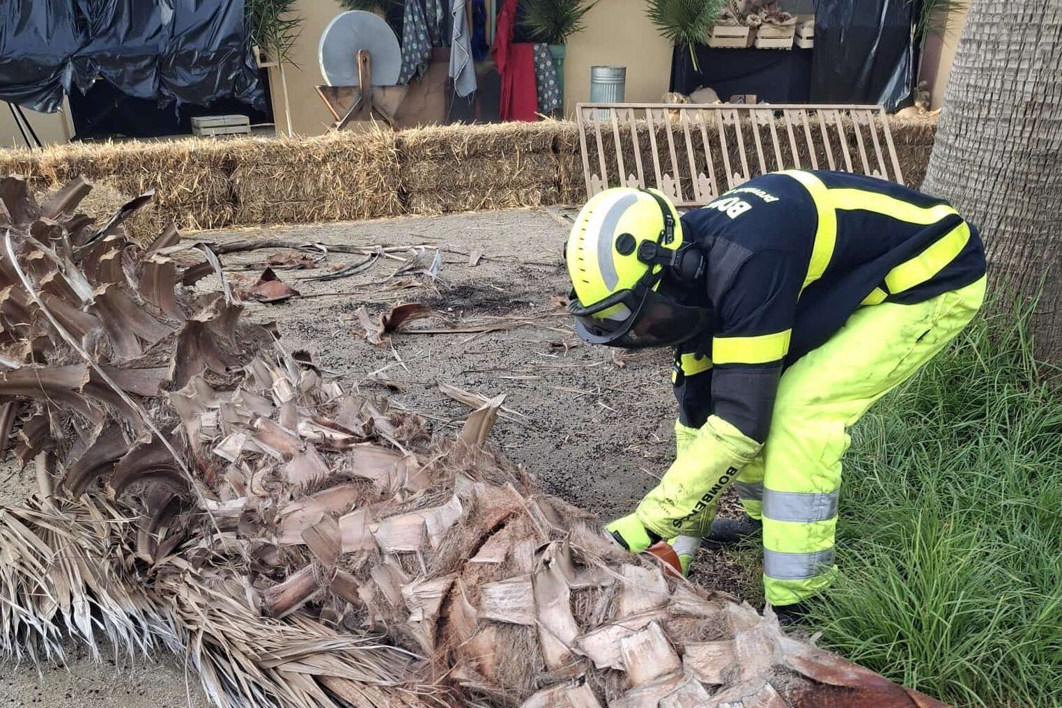 Un bombero retira parte de la palmera.