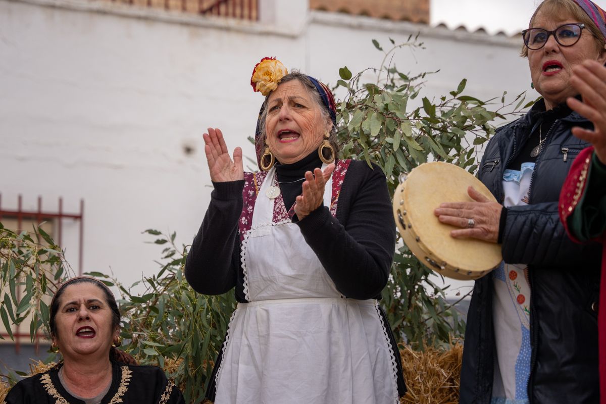 Asi ha sido el Belén Viviente de Coto de Bornos