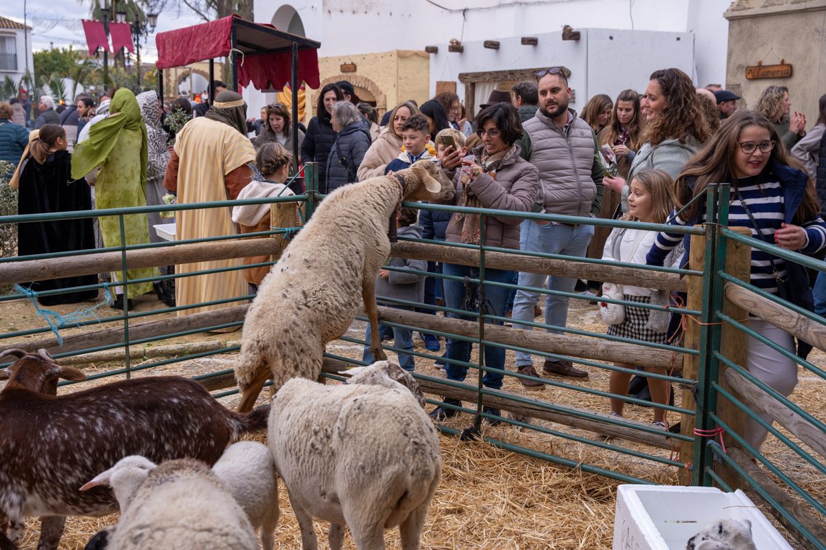 Asi ha sido el Belén Viviente de Coto de Bornos