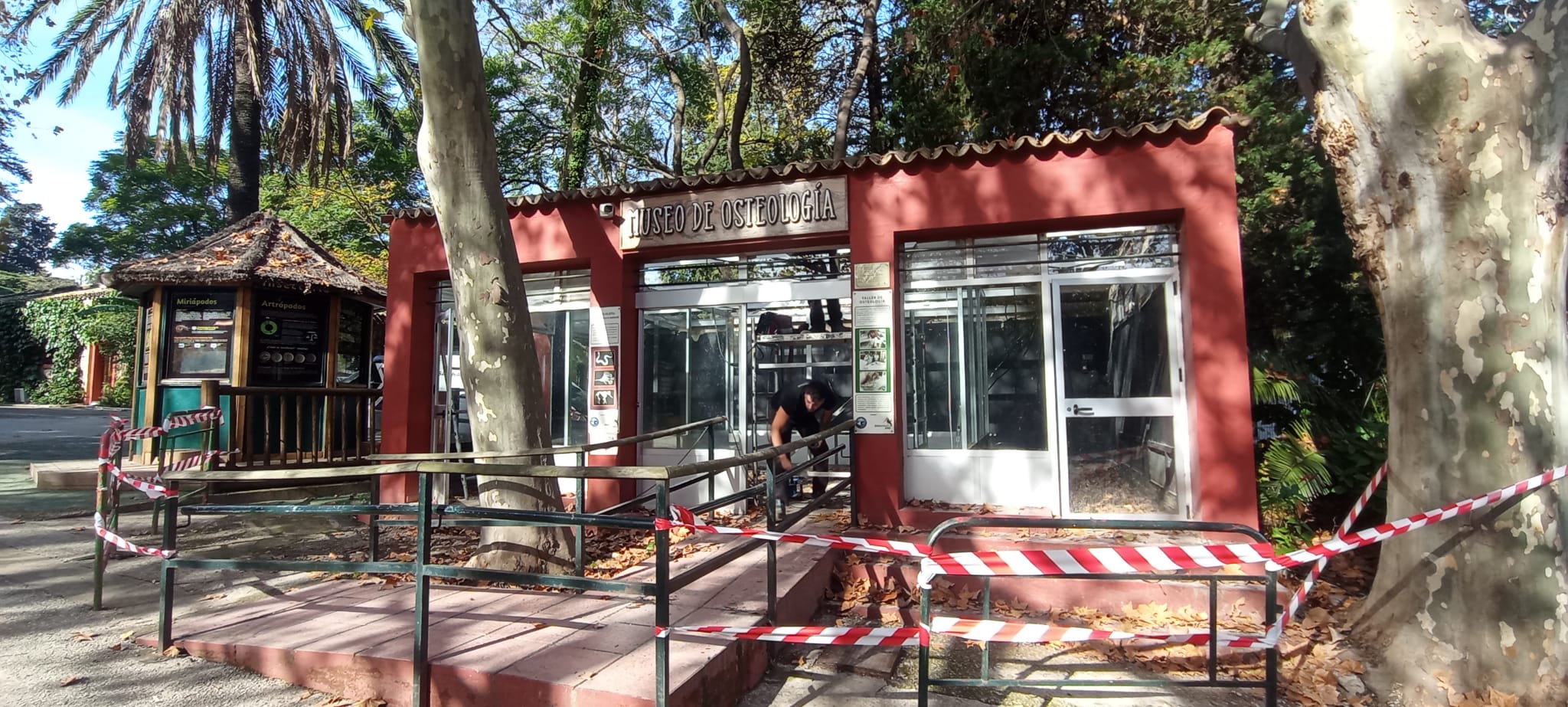 Obras en el Museo de Osteología.