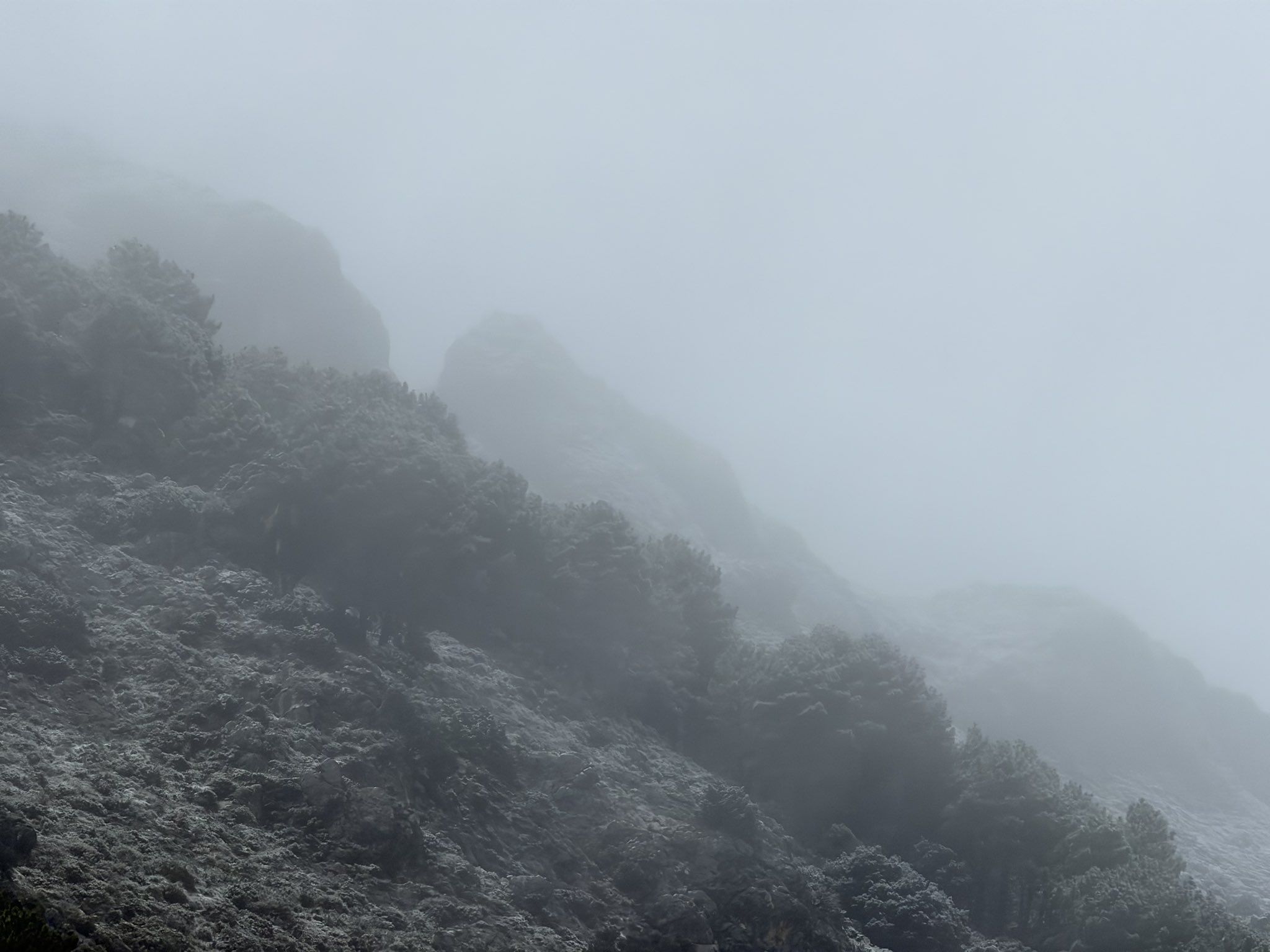 Primeros copos en Grazalema. Foto de Jose Rambaud.