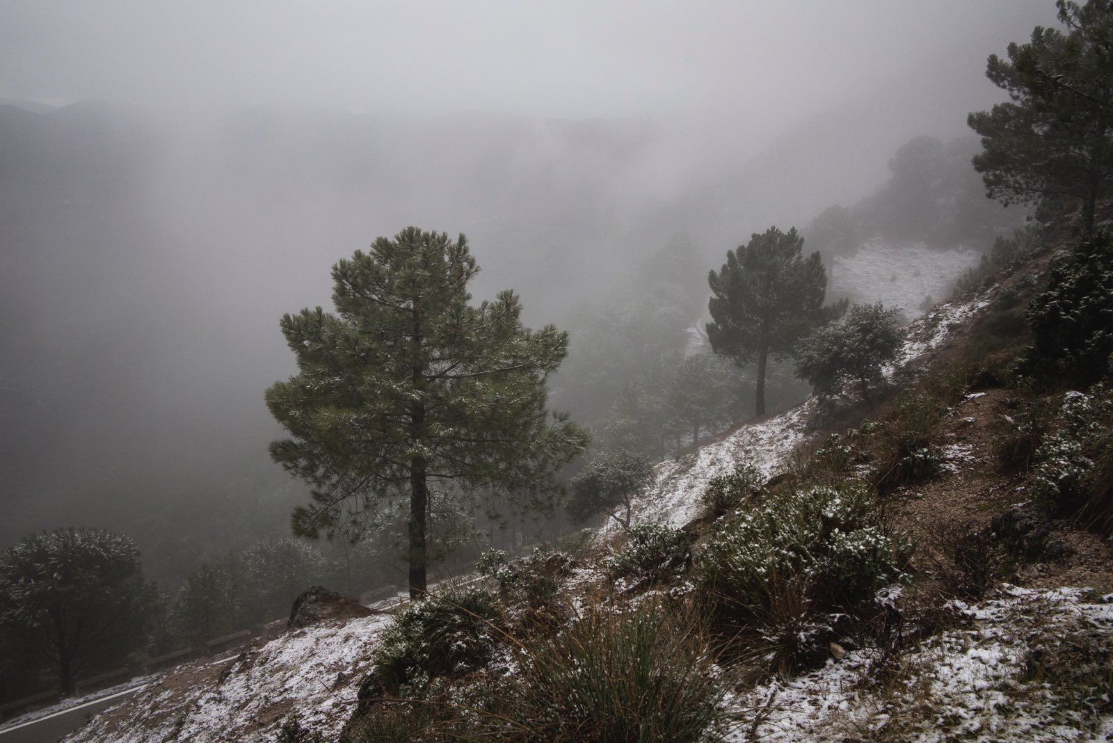 La Sierra de Grazalema nevada.