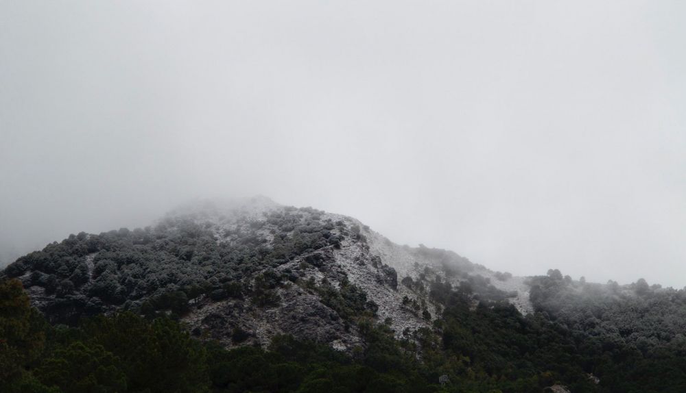 Uno de los picos nevados en Grazalema.