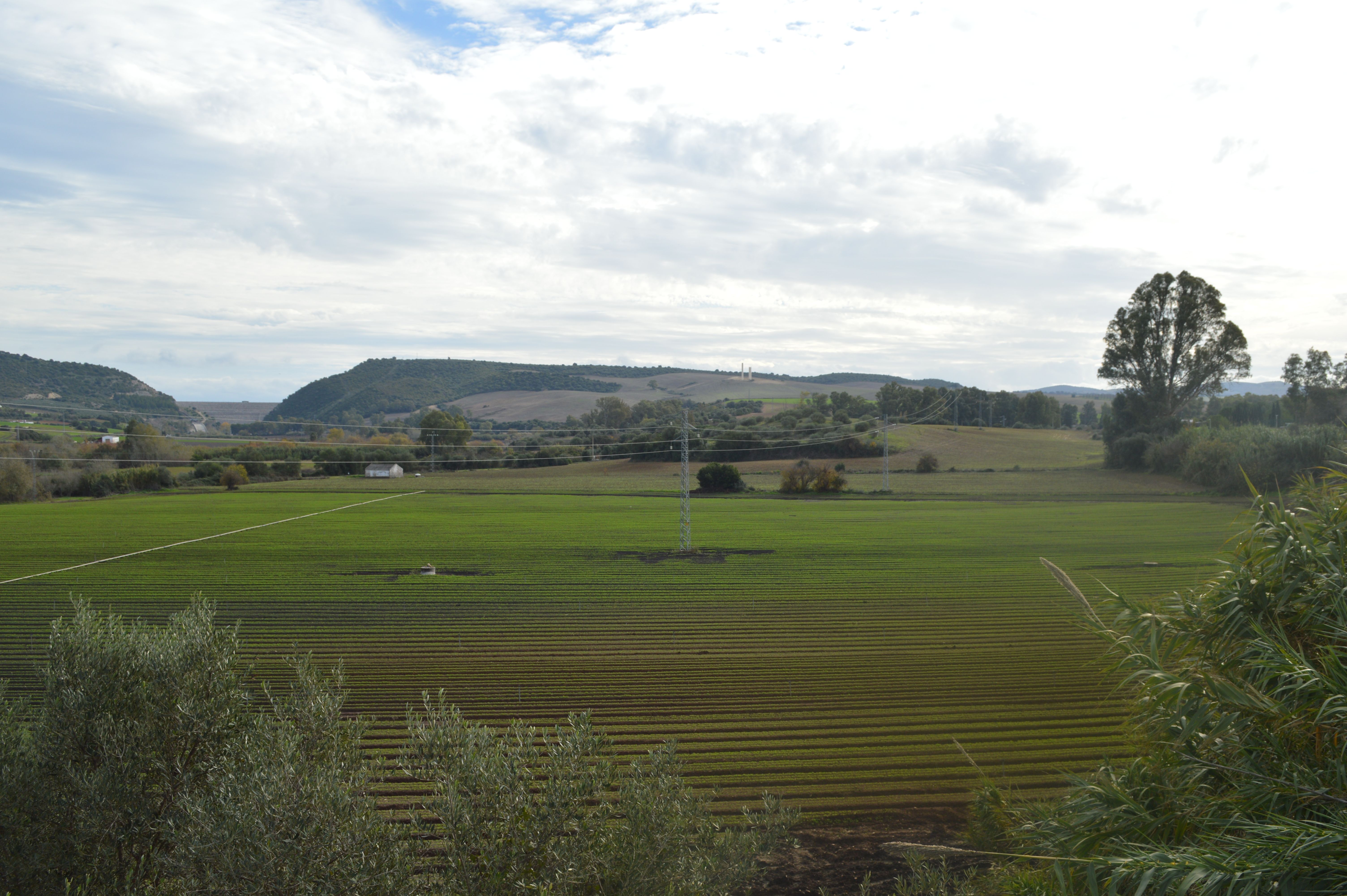 Vega de Los Molinos, zona de Arcos donde irían instaladas las plantas solares.