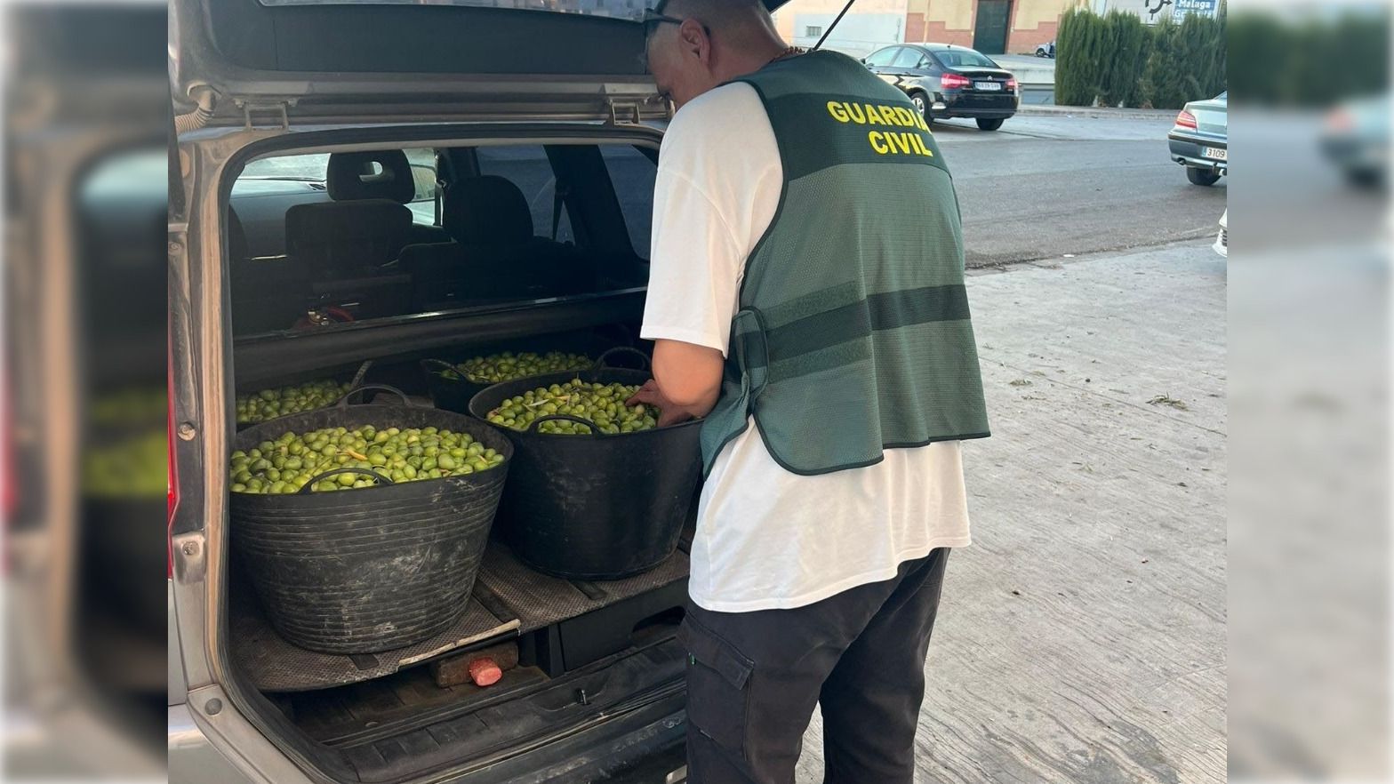 WhatsApp Image 2025 12 23 at 08.51.30 16x9