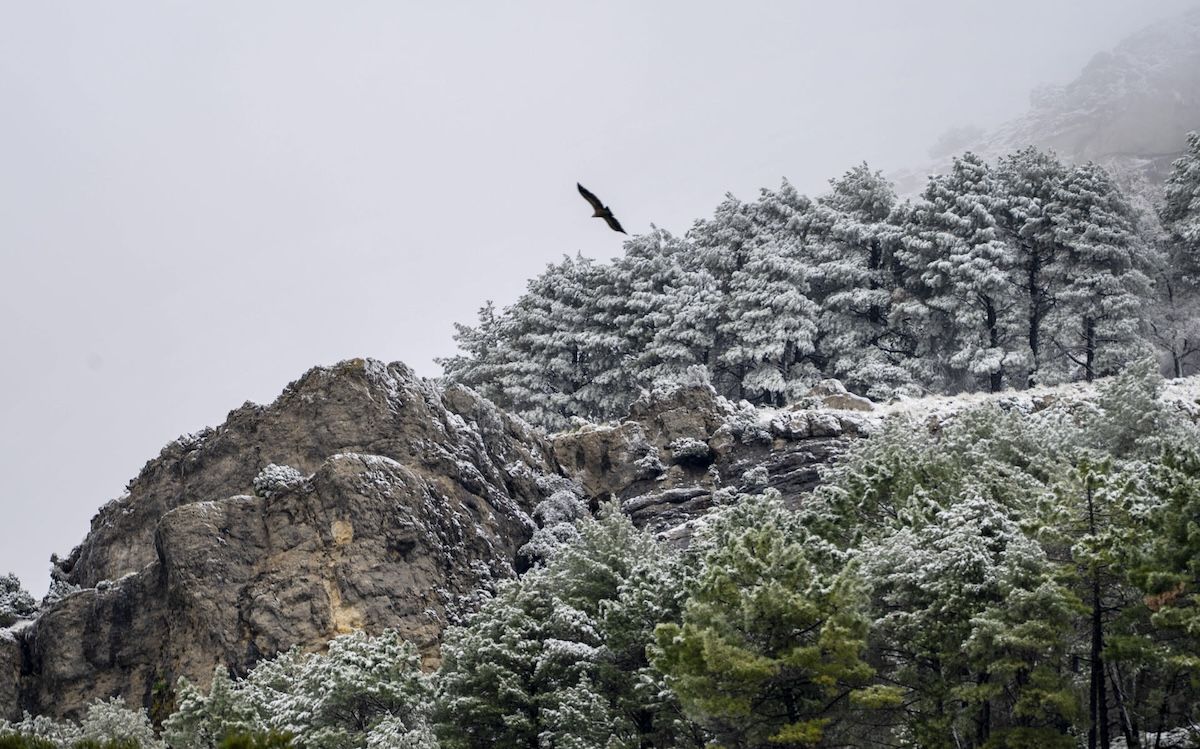 Un amanecer en pleno invierno en la Sierra de Cazorla y Segura