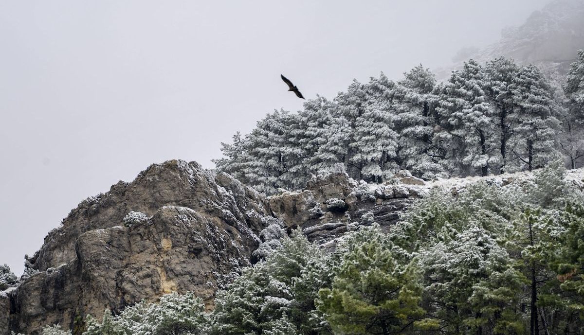 Así amanece la Sierra de Cazorla y Segura.